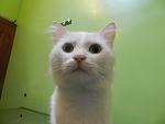     
: белый 029.jpg
: 8
:	57.7 
ID:	7105922