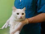     
: белый 038.jpg
: 9
:	68.5 
ID:	7105926