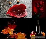     
: osen-cveta-bordo_5.jpg
: 25
:	68.0 
ID:	7114534