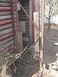     
: IMG_7985.jpg
: 10
:	196.3 
ID:	7114828