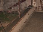     
: IMG_8001.jpg
: 11
:	191.5 
ID:	7114829