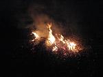     
: IMG_7990.jpg
: 6
:	161.8 
ID:	7114831
