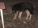     
: IMG_8028.jpg
: 10
:	195.5 
ID:	7114879