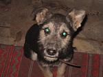     
: IMG_8036.jpg
: 7
:	182.1 
ID:	7114880