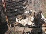     
: IMG_7986.jpg
: 5
:	297.3 
ID:	7114883