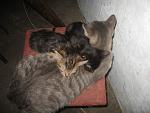     
: IMG_8043.jpg
: 6
:	120.2 
ID:	7114884