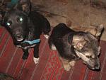     
: IMG_8039.jpg
: 5
:	193.2 
ID:	7114885