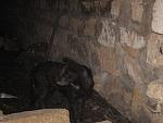     
: IMG_8021.jpg
: 4
:	183.4 
ID:	7114889