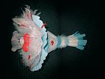     
: IMG_2674.jpg
: 7
:	144.7 
ID:	7118633