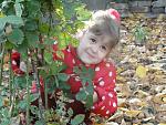     
: DSC07931.jpg
: 7
:	179.3 
ID:	7118645