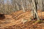     
: DSC_2835.jpg
: 6
:	192.6 
ID:	7118801