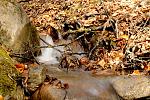     
: DSC_2827.jpg
: 6
:	286.4 
ID:	7118802
