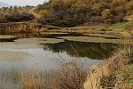     
: DSC_2808.jpg
: 4
:	232.1 
ID:	7118803