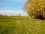     
: IMG_20131029_111242.jpg
: 49
:	282.5 
ID:	7119316