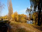     
: IMG_20131029_143651.jpg
: 47
:	270.3 
ID:	7119321