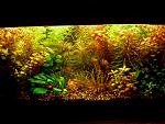     
: Изображение 022.jpg
: 22
:	168.4 
ID:	7120209