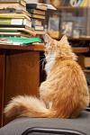     
: DSC08918.jpg
: 51
:	75.3 
ID:	7123283
