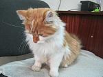     
: шелестова. экол&#1.jpg
: 66
:	107.3 
ID:	7123376