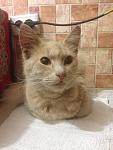     
: IMG_1590.jpg
: 13
:	99.1 
ID:	7128532