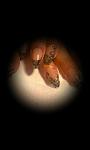     
: IMAG0279.jpg
: 12
:	28.1 
ID:	7133033