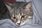     
: DSC_0009.jpg
: 6
:	78.7 
ID:	7135940