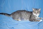     
: DSC_0015.jpg
: 8
:	65.8 
ID:	7135944
