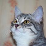     
: DSC_0066.jpg
: 8
:	36.0 
ID:	7135948