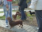     
: DSC09215.JPG
: 2
:	119.2 
ID:	7137491