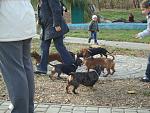     
: DSC09214.JPG
: 7
:	119.7 
ID:	7137492