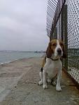     
: Фото045.jpg
: 10
:	94.4 
ID:	7138728