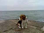    
: Фото015.jpg
: 16
:	119.4 
ID:	7138729