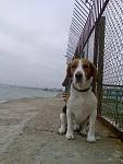     
: Фото044.jpg
: 12
:	103.1 
ID:	7138730