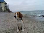     
: Фото042.jpg
: 17
:	115.2 
ID:	7138732