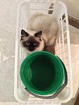     
: IMG_1670.jpg
: 2
:	74.2 
ID:	7140323