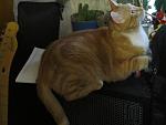     
: IMG_5126.jpg
: 5
:	101.1 
ID:	7140834