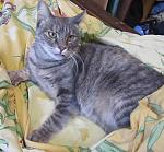     
: IMG_5110.jpg
: 8
:	138.6 
ID:	7140835