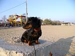     
: GEDC1535.jpg
: 4
:	152.3 
ID:	7142141