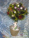     
: DSC01551.jpg
: 8
:	175.3 
ID:	7143598
