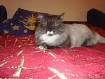     
: DSC09336.jpg
: 9
:	160.0 
ID:	7147218