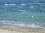     
: DSCN0580.jpg
: 22
:	151.2 
ID:	7147612