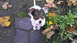     
: IMG-20131105-WA0002.jpg
: 20
:	87.3 
ID:	7152256