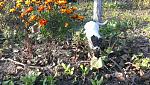     
: IMG-20131105-WA0003.jpg
: 16
:	158.9 
ID:	7152274