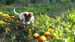     
: IMG-20131105-WA0004.jpg
: 17
:	122.8 
ID:	7152277