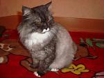     
: DSC09346.jpg
: 30
:	117.2 
ID:	7153420
