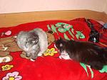     
: DSC09347.jpg
: 36
:	139.8 
ID:	7153421