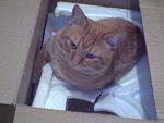     
: SP_A1159.jpg
: 13
:	52.4 
ID:	715373