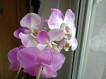     
: Фото0021.jpg
: 5
:	153.0 
ID:	7157472