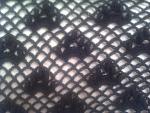     
: IMAG0705.jpg
: 9
:	131.5 
ID:	7157524