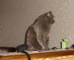     
: DSC05541.jpg
: 45
:	141.9 
ID:	715848