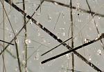     
: QzCurve 60x 800.jpg
: 9
:	49.3 
ID:	7160011
